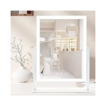 Vanity Mirror, 10X Magnification, LED lights