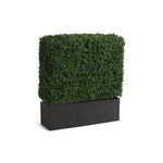 Martha Stewart 33in Uv Protected Boxwood Partition