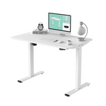 Flexispot 48" x 30" Electric Standing Desk Electric Standing Desk (White)