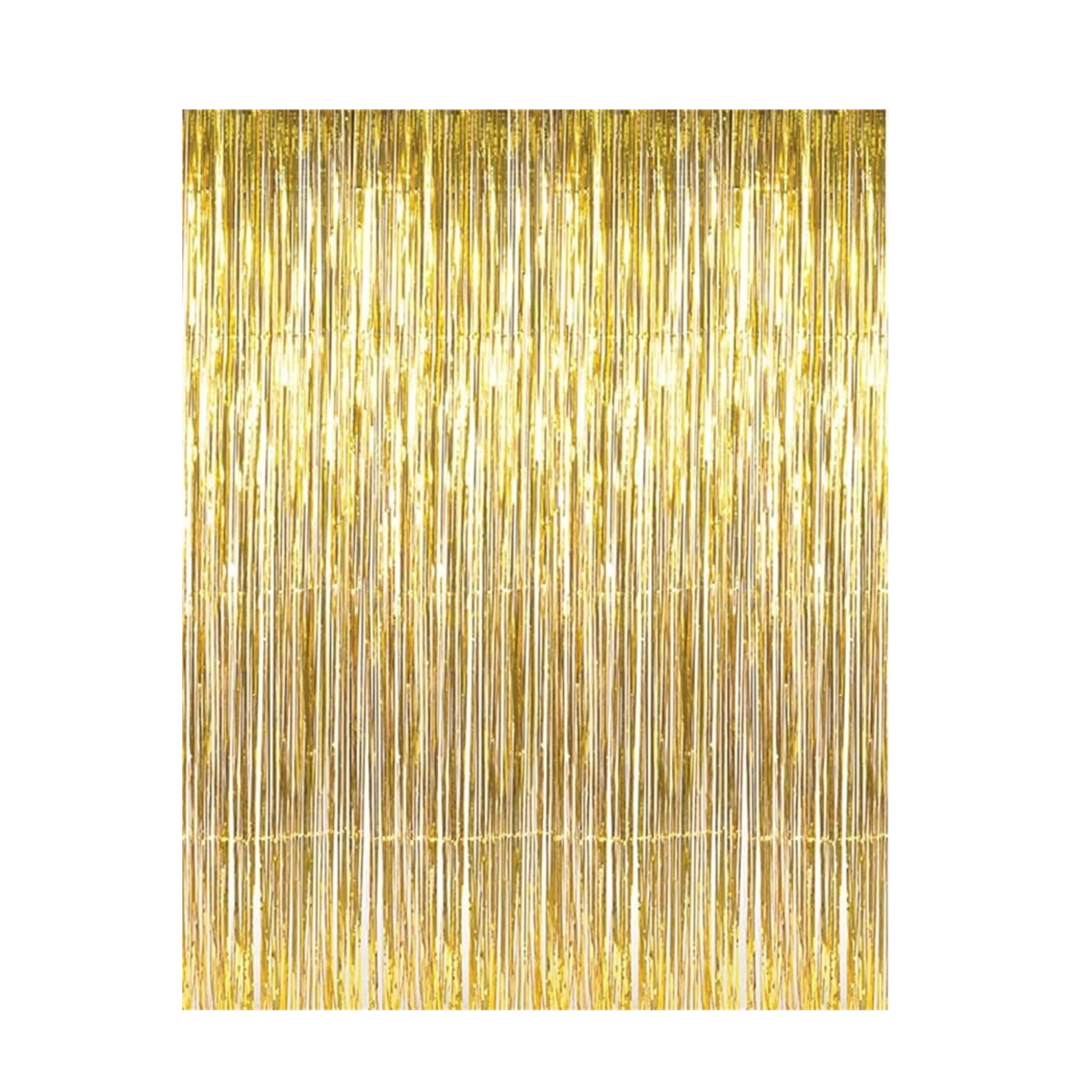 Metallic Tinsel Fringe Curtains Backdrop