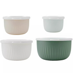 The Big One 4 Nesting Bowls & Lids