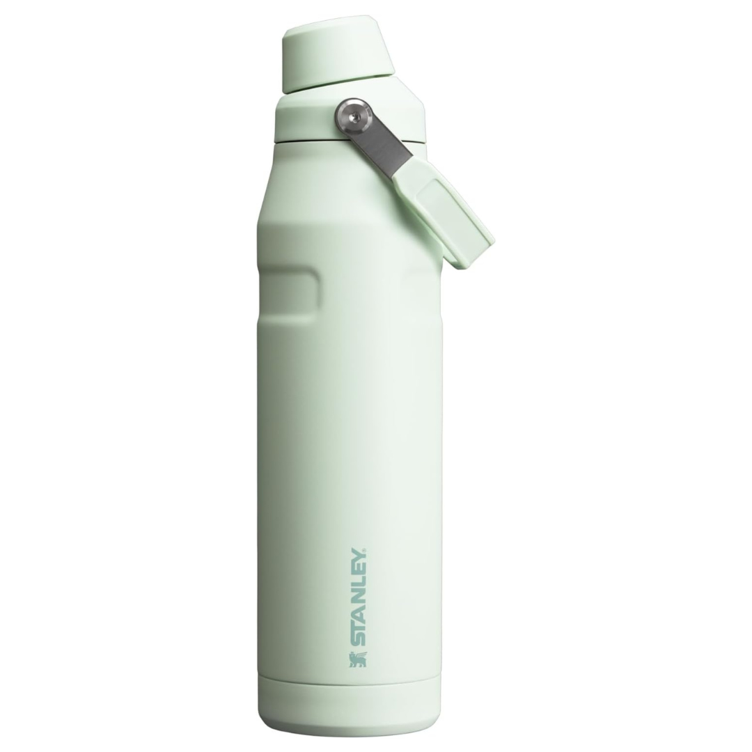 36-oz Stanley IceFlow Fast Flow Insulated Stainless Steel Water Bottle