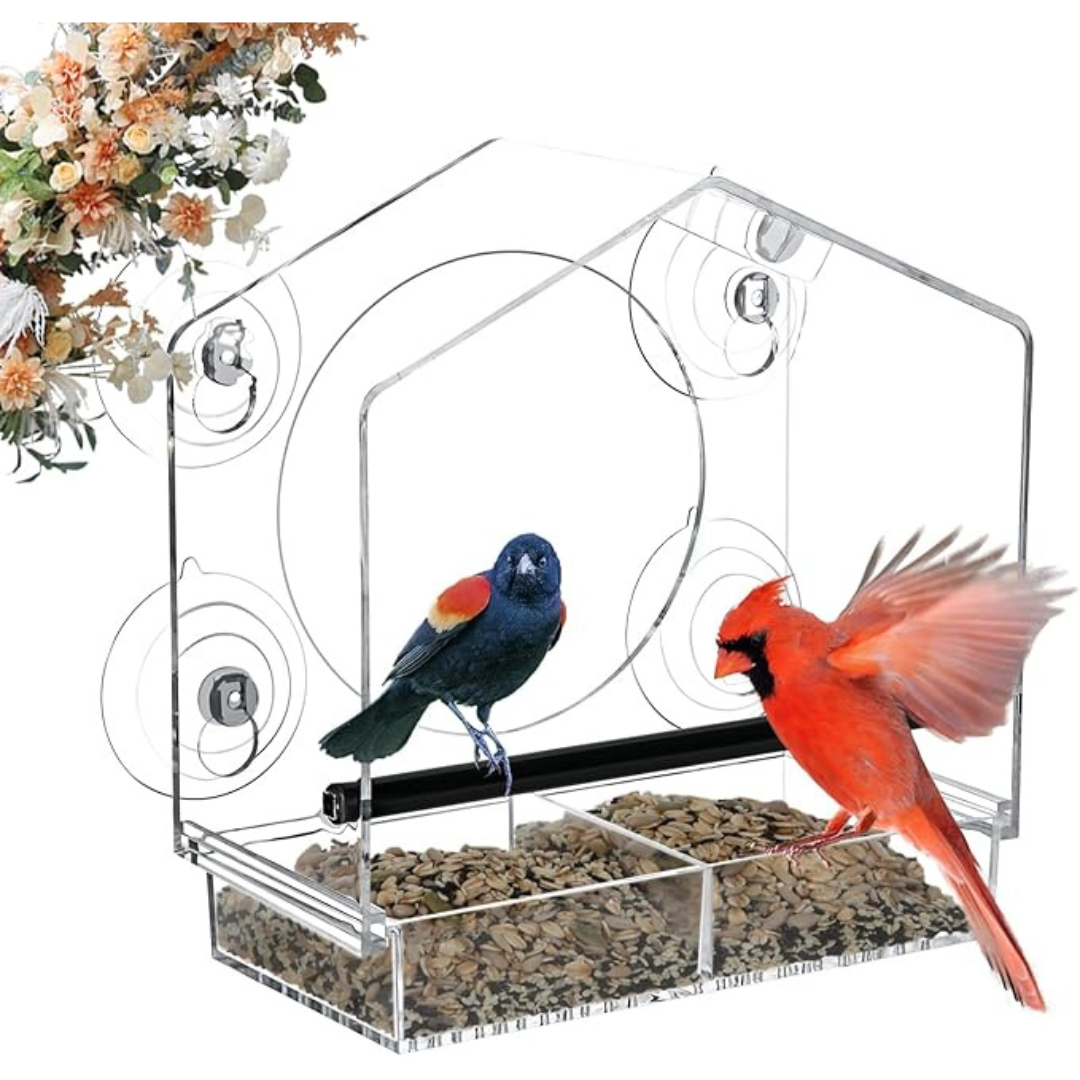 Clear Window Bird Feeders with Strong Suction Cups