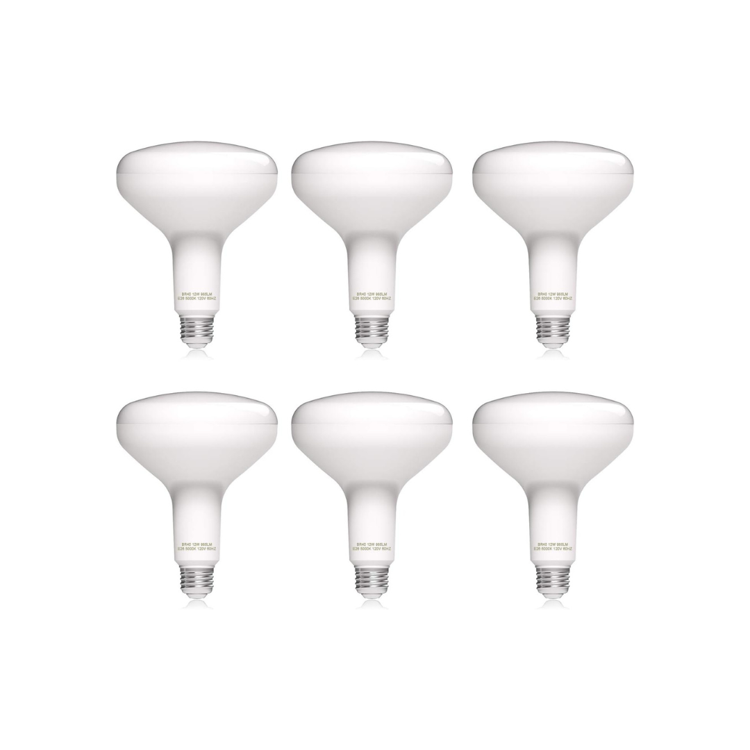6 LED Flood Light Bulbs