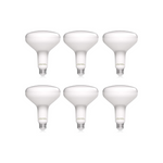 6 LED Flood Light Bulbs