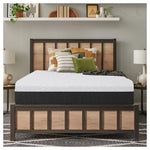 Sealy to Go 12” Medium Memory Foam Mattress in a Box