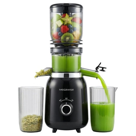 Megawise SJ250I Slow Masticating Juicer