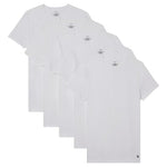 5 Calvin Klein Cotton T Shirts