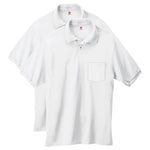 2 Hanes Polos (4 Colors)