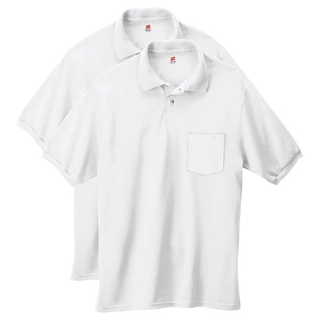 2 Hanes Polos (4 Colors)