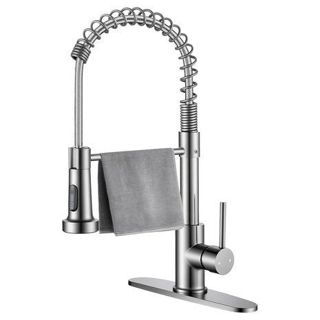 Kitchen Faucet with Pull Down Sprayer