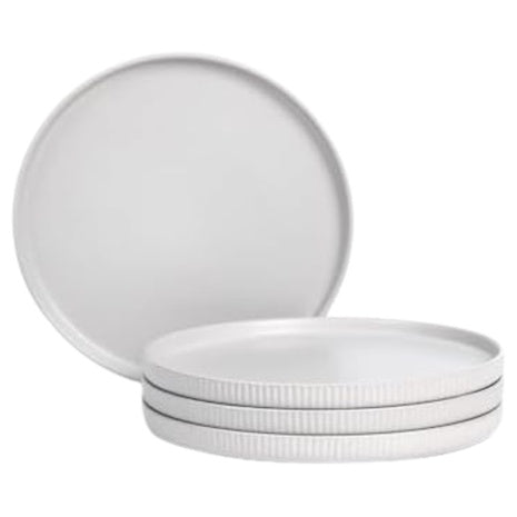 4-Piece Stone Lain Haven Modern Dinner Plates Sets