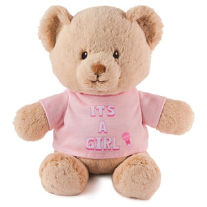 It’s a Girl Teddy Bear (12”)