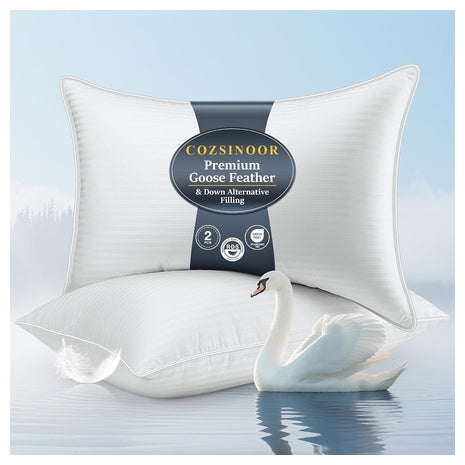 Set Of 2 Cozsinoor Goose Feather Queen Size Bed Pillows