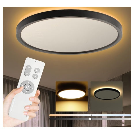 Ceiling Light Fixture w/ Remote Control