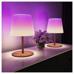 2-Pack Color Changing Shower Mood Lights