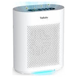 Large Room Air Purifier