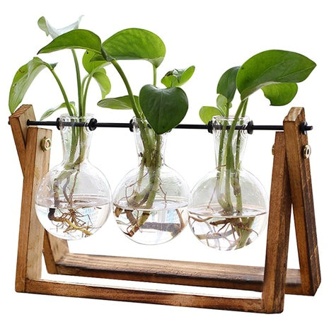 3-Bulb Plant Terrarium with Wooden Stand