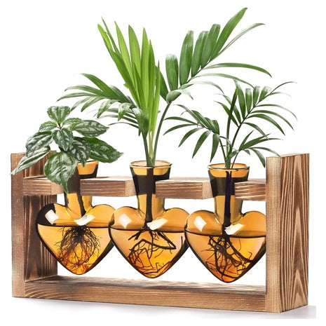 Lifecapido Heart Shaped Plant Terrarium With Wooden Stand (3 Vases)