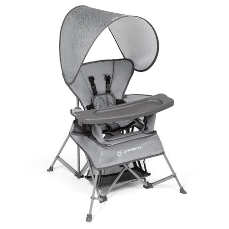 Baby Delight Go with Me Venture Portable Chair