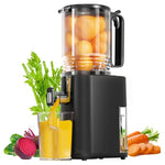 Cold Press Slow Juicer