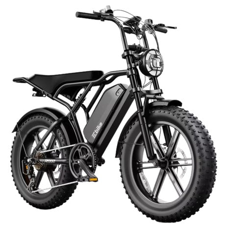 TST 750W Peak 1500W Motor 20" X 4" Fat Tire Electric Bike