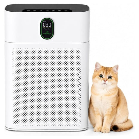 Honeyuan H13 True HEPA Air Purifier
