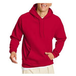 Hanes Men's Cotton Blend Pullover EcoSmart Hooded Sweatshirt (Various)