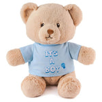 It's a Boy Teddy Bear