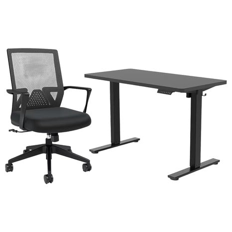 FlexiSpot Electric Standing Desk & Staples Ergonomic Chair