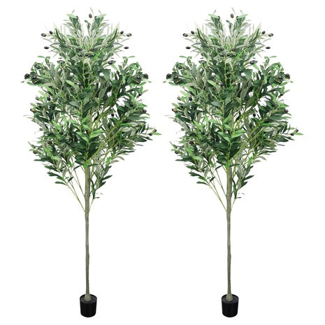 2 6ft Faux Olive Trees with Planters