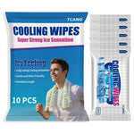 10-Pack Cooling Body Wipes