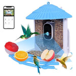 Solar Powered AI Identify Bird Feeder with Camera