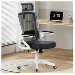 Ergonomic Office Chair