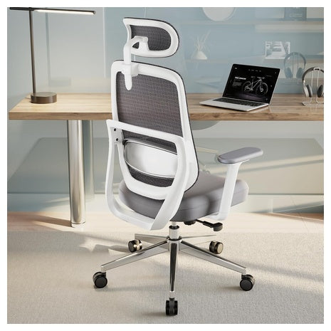 QuelSoft Ergonomic Ultimate Back Office Chair