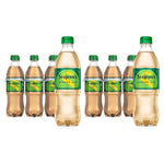 12 Bottles Seagrams Ginger Ale (16.9oz)