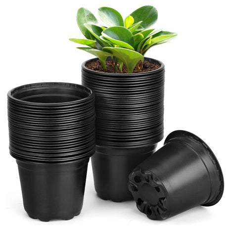 60-Pack 6" Nursery Pots With Drainage Holes