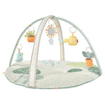 Skip Hop Tummy Time 3-in-1 Activity Baby Play Gym