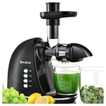 Slow Masticating Cold Press Juicer