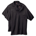 2 Hanes Men’s Polos (4 Colors)
