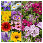 Mix 30,000 Seeds 2 Ounce Bulk Pack