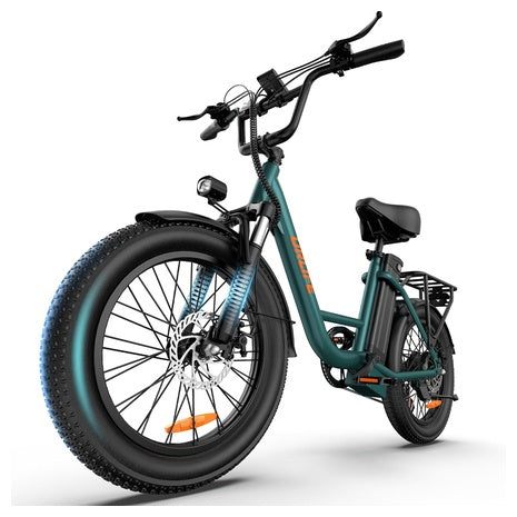 20" URLIFE E20 48V 1000W Electric Bike W/ Removable Battery
