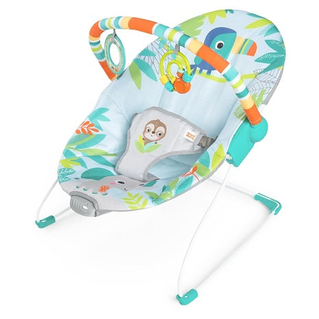 Bright Starts Soothing Vibrations Baby Bouncer
