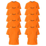 10 Gildan Adult Ultra Cotton T-Shirts
