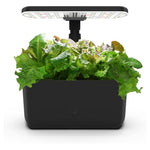 Indoor Hydroponic Garden