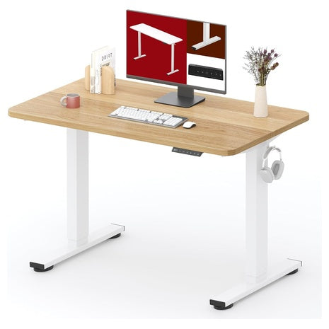 Electric 40" X 24" Height Adjustable Standing Desk