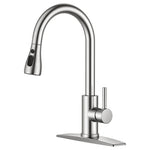 Kitchen Faucet with Pull Down Sprayer