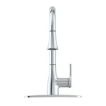 Bio Bide Flow by Bemis Single Handle Standard Kitchen Faucet