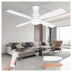 52″ Ceiling Fan with Lights & Remote
