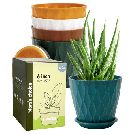 5-Pack 6” Planter Pots with Saucers